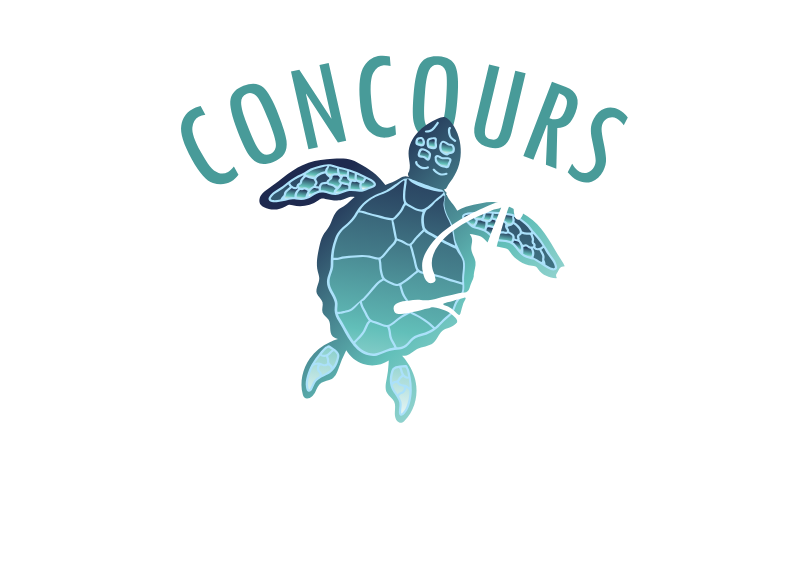 Logo du concours FIDGI Les îles Fidji